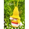 mini gnome