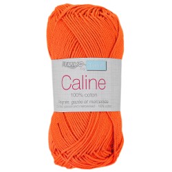 Coton Câline