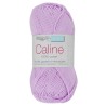 Coton Câline