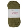 Coton Câline