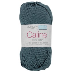Coton Câline